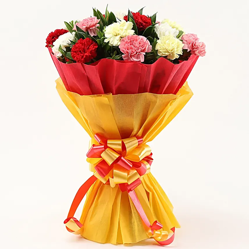Carnation Harmony